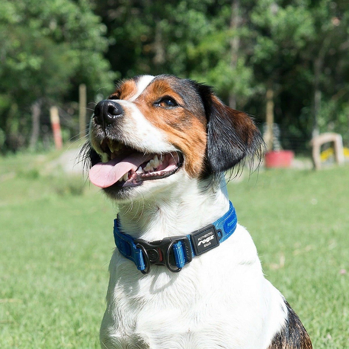 Rogz Utility Twinloc Dog Collar