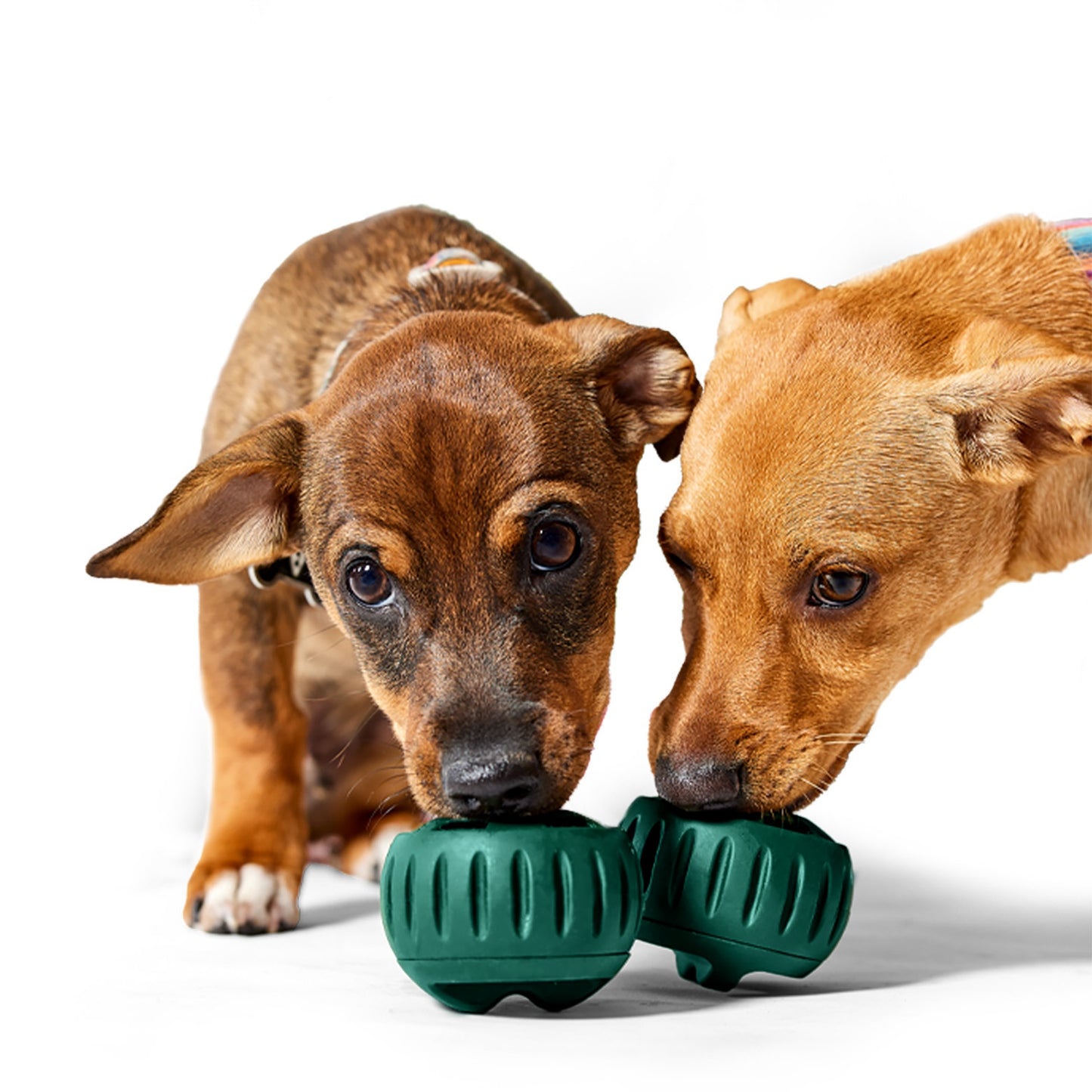 Woof Pupsicle Treat Dispensing Dog Toy