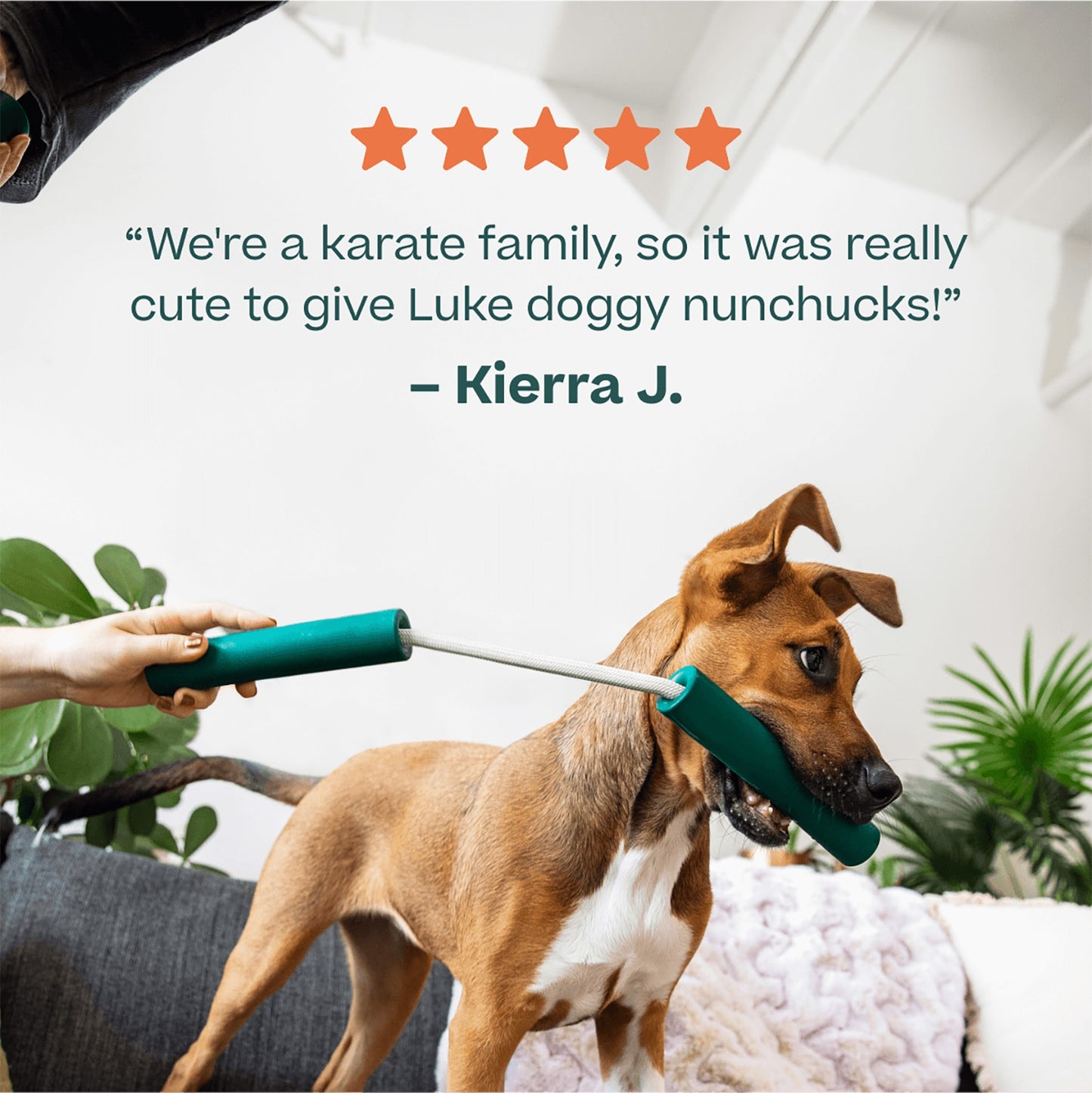 Woof Nomchucks Treat Dispensing Dog Toy
