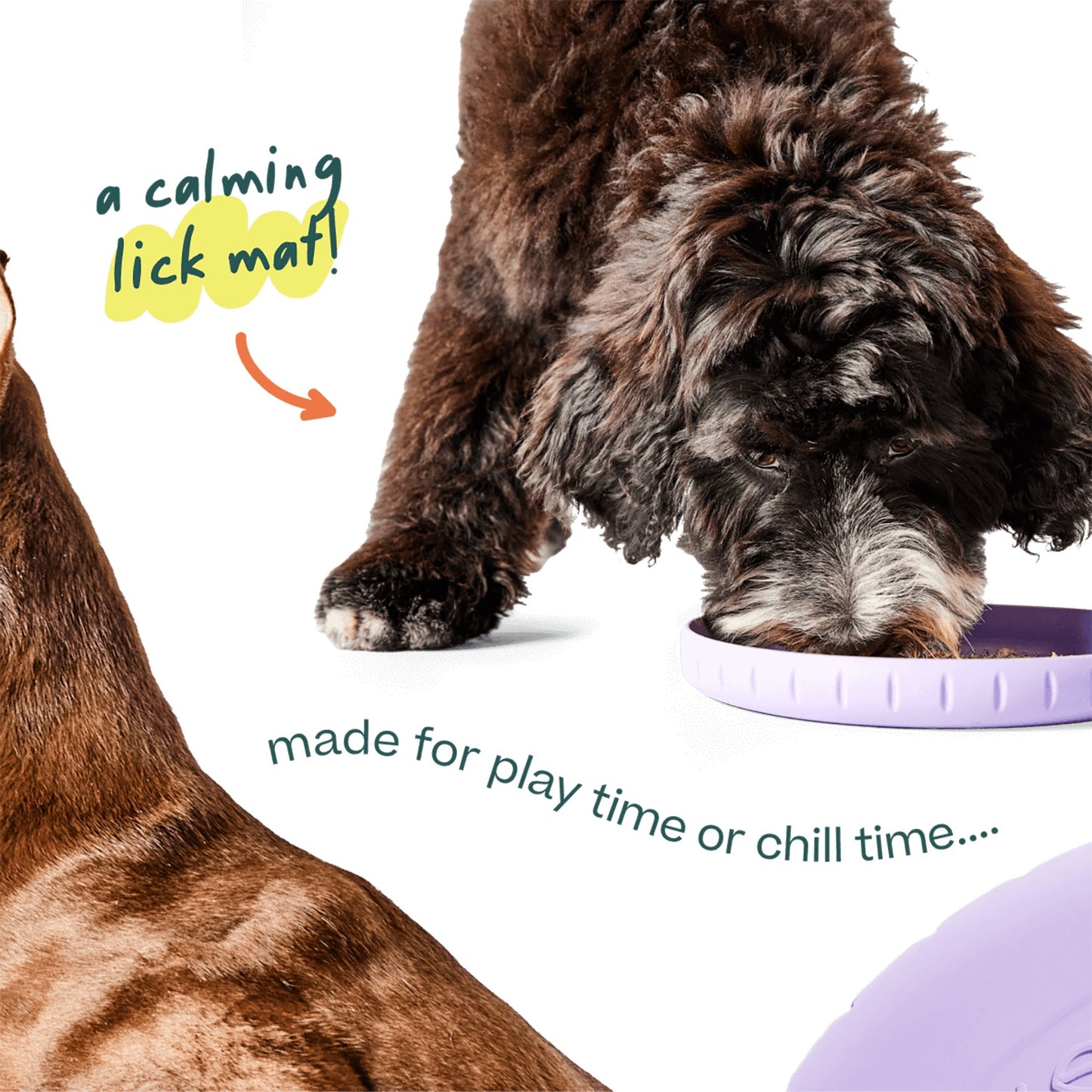 Woof Fly n' Feed 2-in-1 Dog Toy & Lick Mat