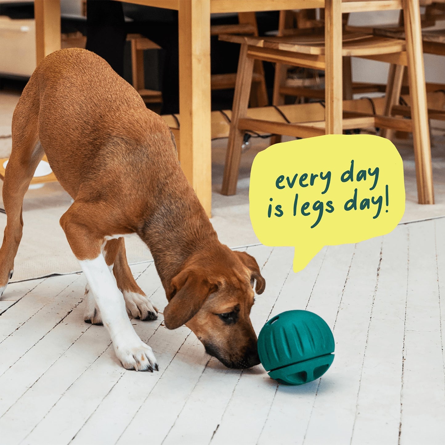Woof Walkabout Treat Dispensing Dog Toy