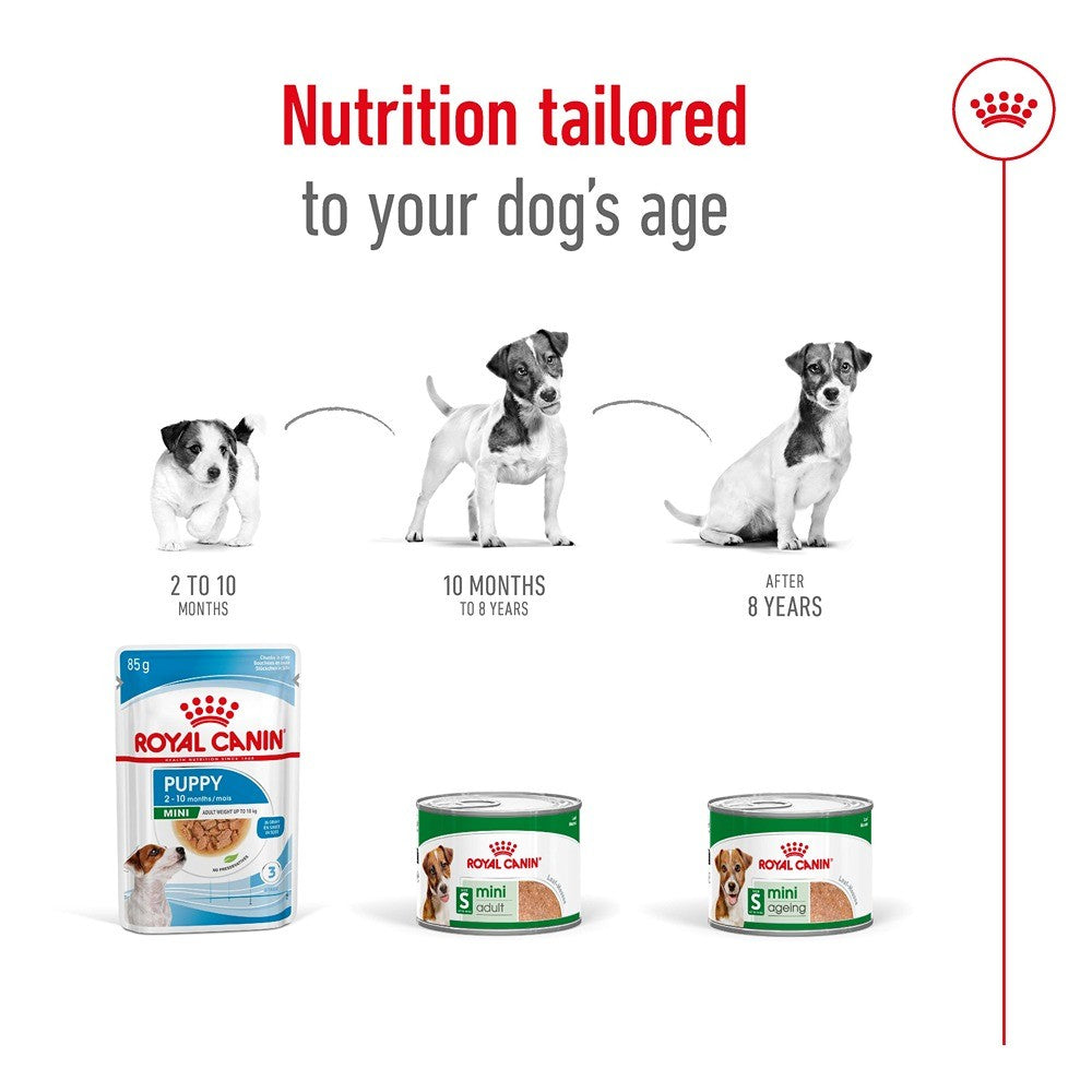 Royal Canin Mini Adult Loaf Wet Dog Food