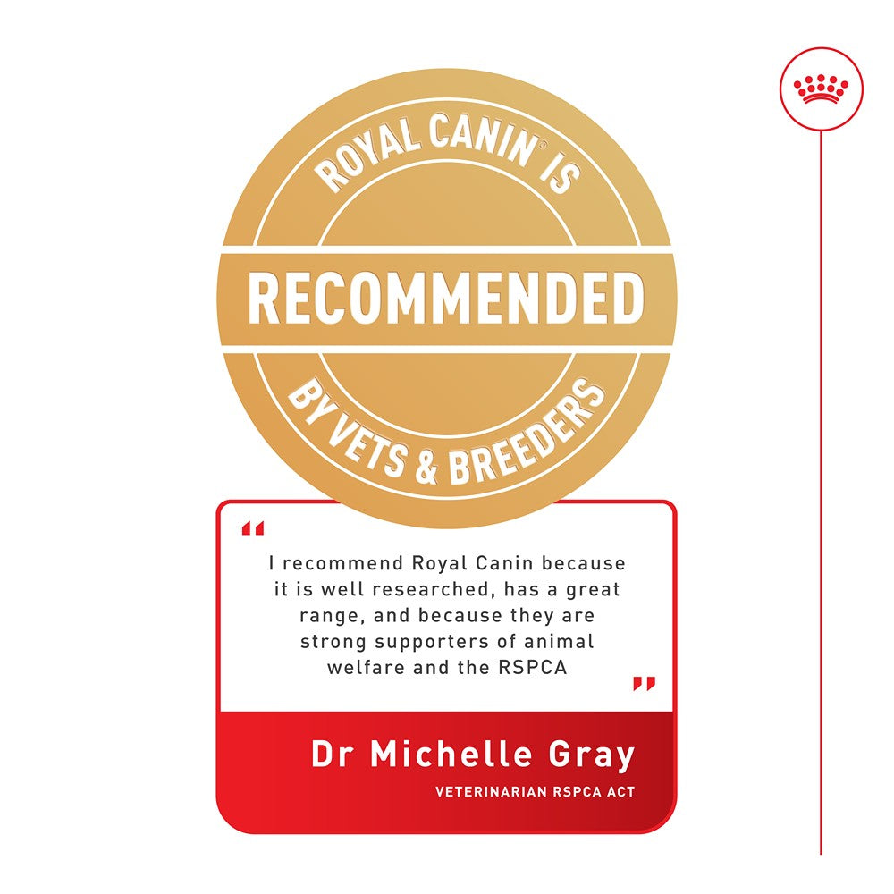 Royal Canin Mini Ageing Loaf Wet Dog Food