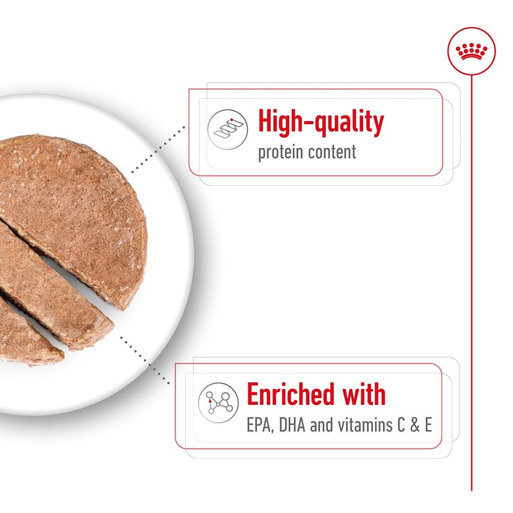 Royal Canin Ageing Medium Loaf Wet Dog Food