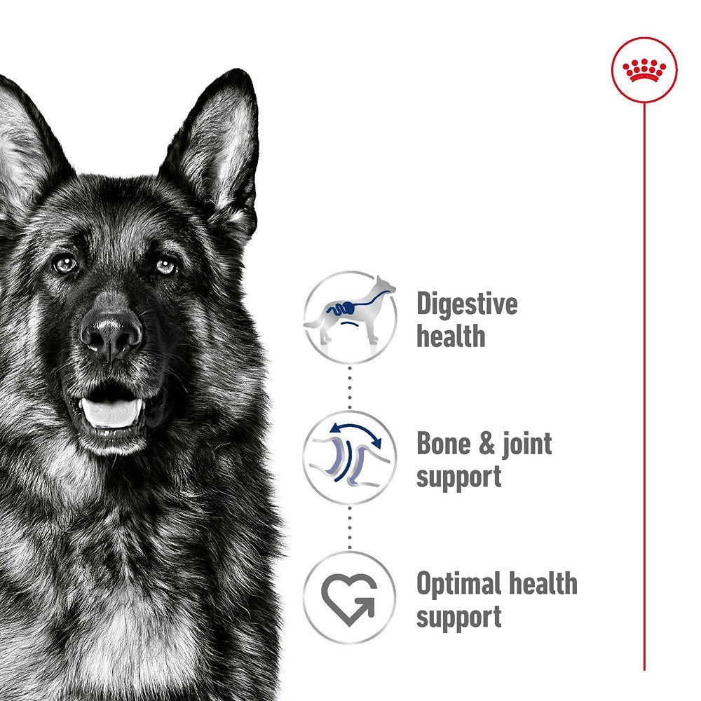 Royal Canin Adult Maxi Loaf Wet Dog Food