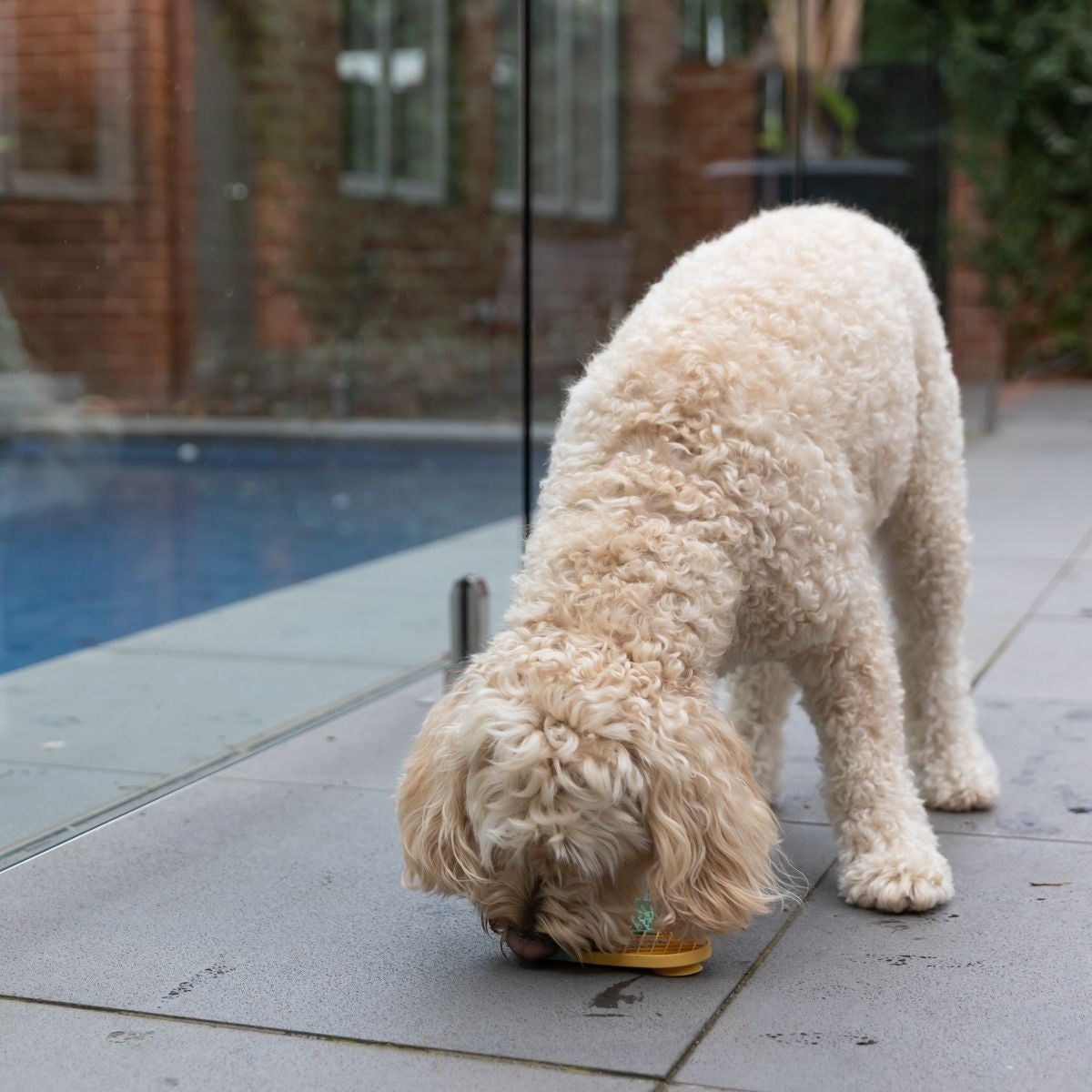 Lexi & Me Ice-Cream Lick Mat