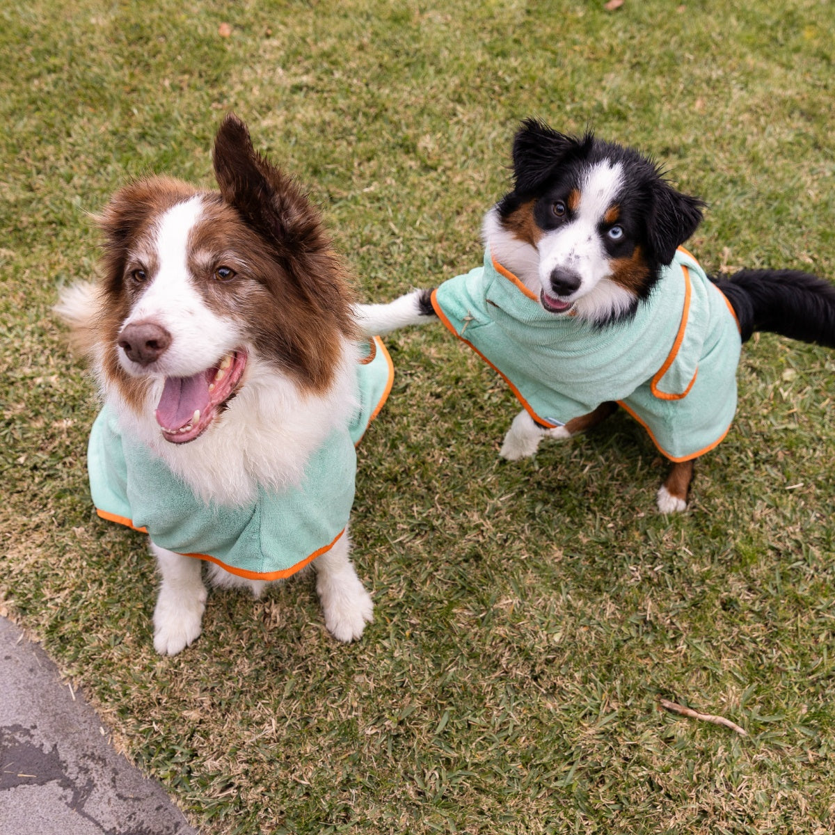 Lexi & Me Dog Robe Orange Mint