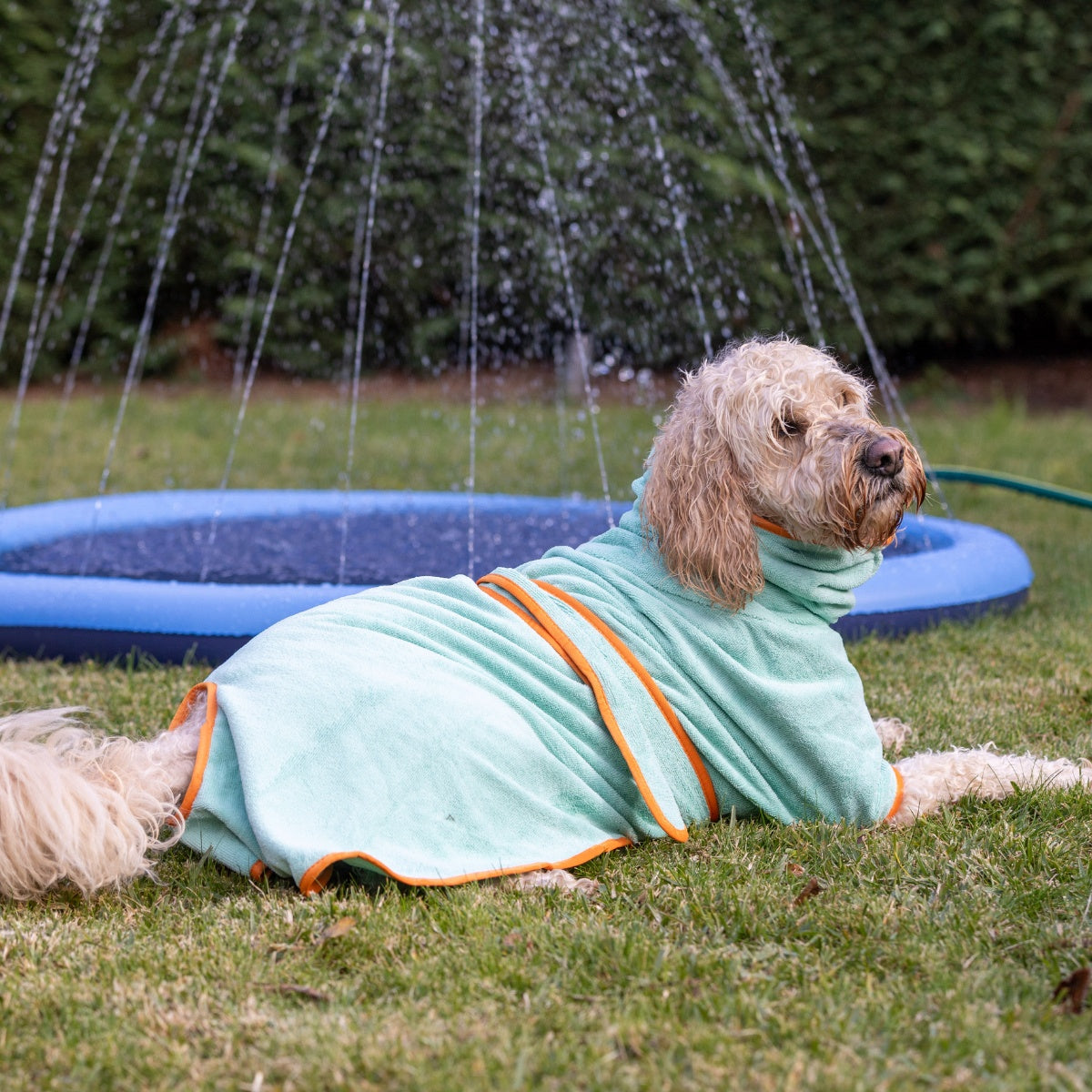 Lexi & Me Dog Robe Orange Mint