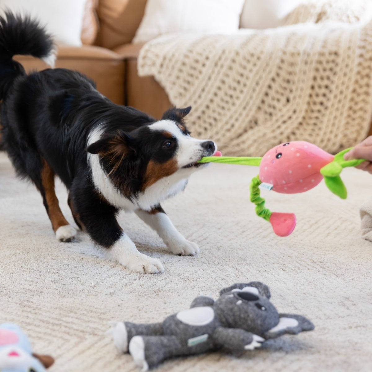 Lexi & Me Strawberry Shred & Satisfy Dog Toy