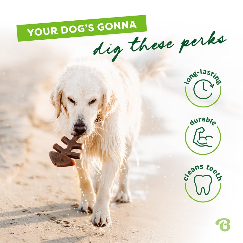 Benebone Fishbone Dog Chew Toy