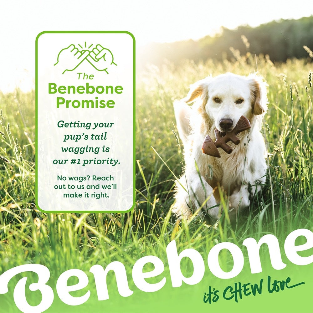Benebone Fishbone Dog Chew Toy