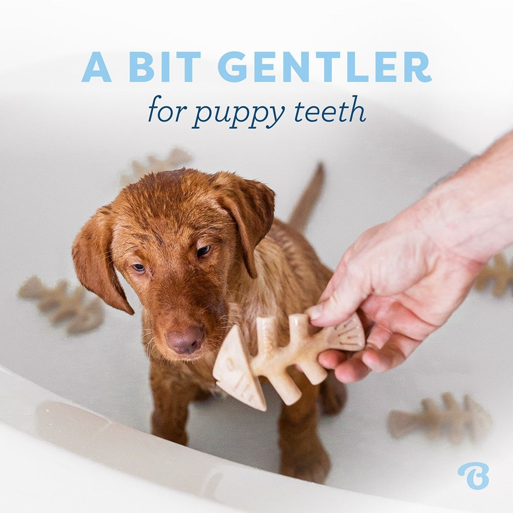 Benebone Fishbone Puppy Chew Toy