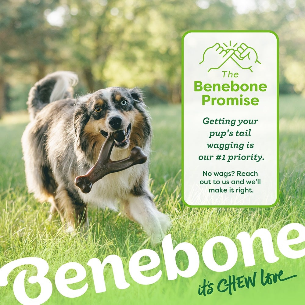 Benebone Chicken Wishbone Dog Chew Toy