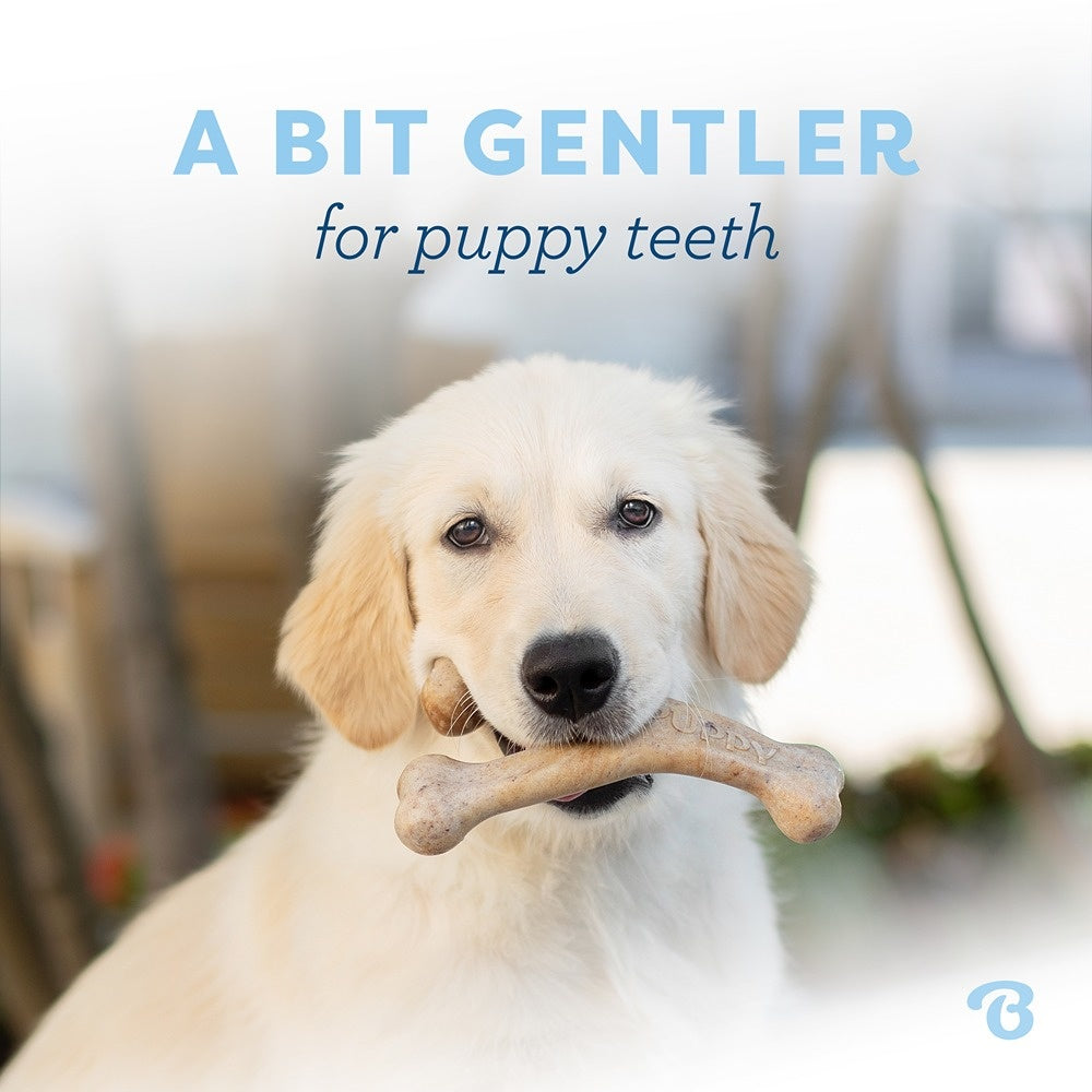 Benebone Bacon Wishbone Puppy Chew Toy