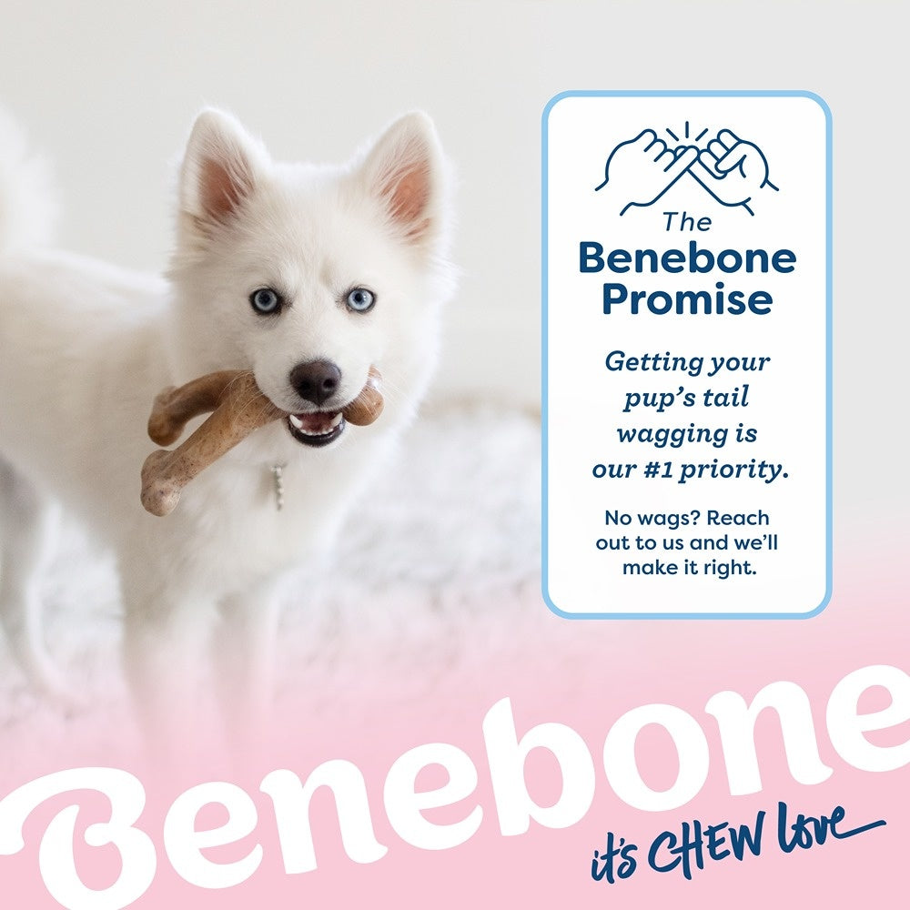 Benebone Bacon Wishbone Puppy Chew Toy