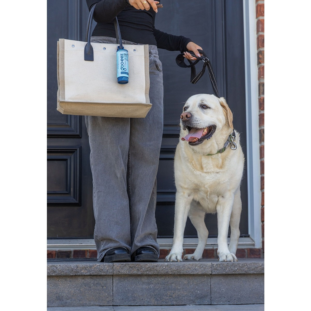 Goo-eez Watermelon Breeze Scented Dog Waste Bags