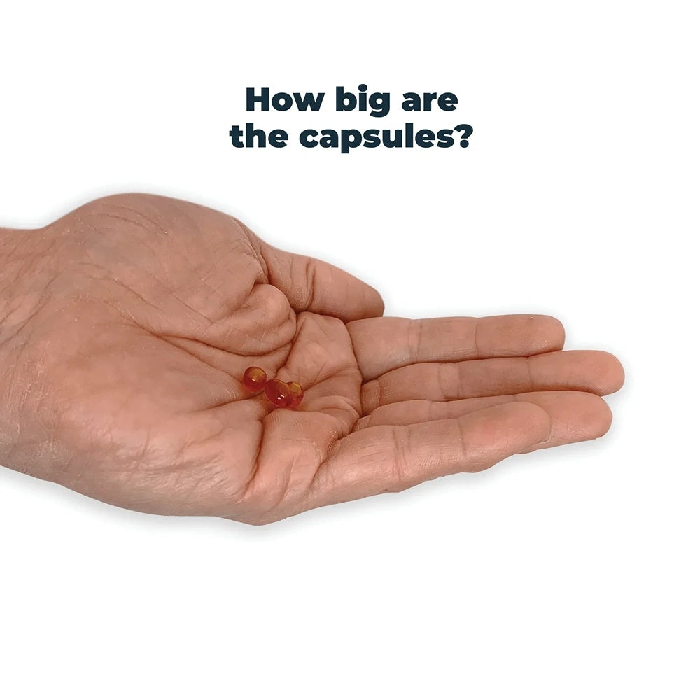 Antinol Plus Dog Joint Supplement Capsules