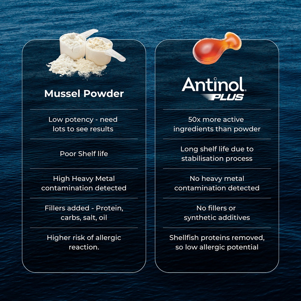 Antinol Plus Dog Joint Supplement Capsules
