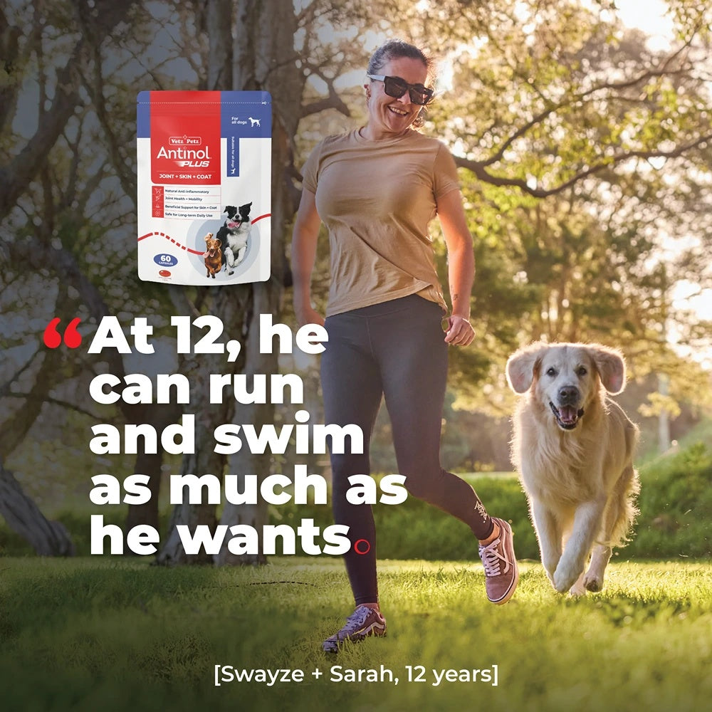 Antinol Plus Dog Joint Supplement Capsules
