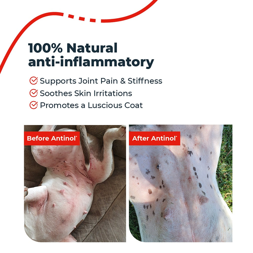 Antinol Plus Dog Joint Supplement Capsules
