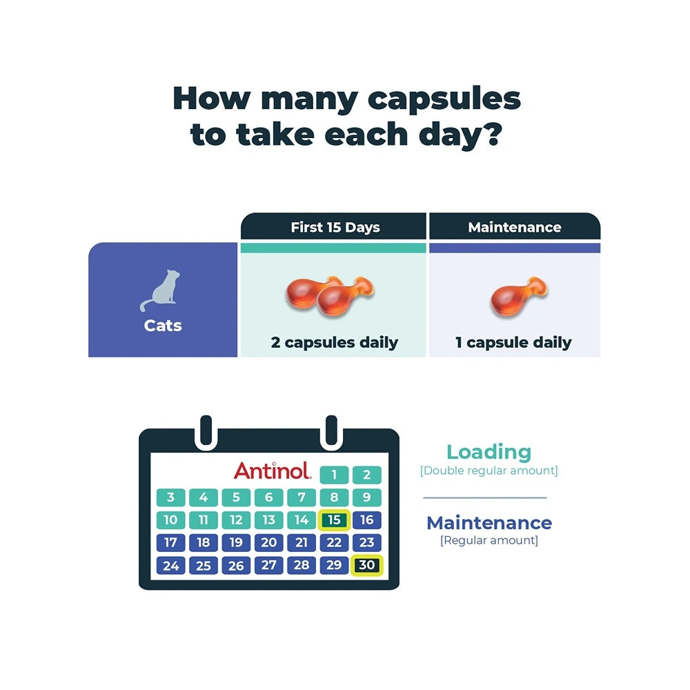 Antinol Plus Easy Feed Cat Joint Supplement Capsules