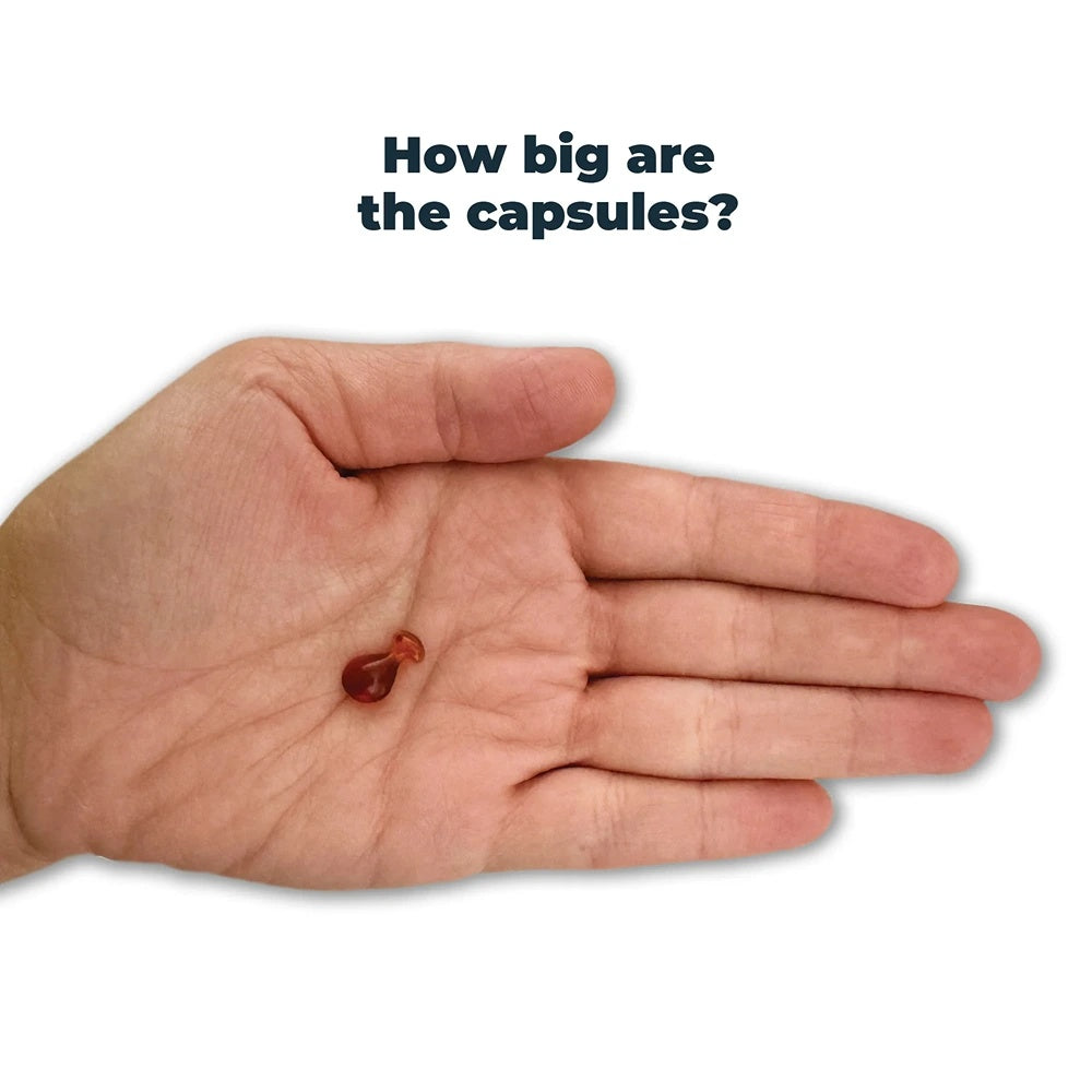 Antinol Plus Easy Feed Cat Joint Supplement Capsules