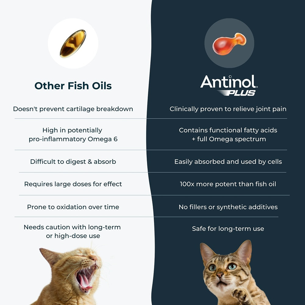 Antinol Plus Easy Feed Cat Joint Supplement Capsules