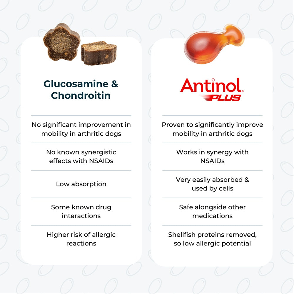 Antinol Plus Easy Feed Cat Joint Supplement Capsules