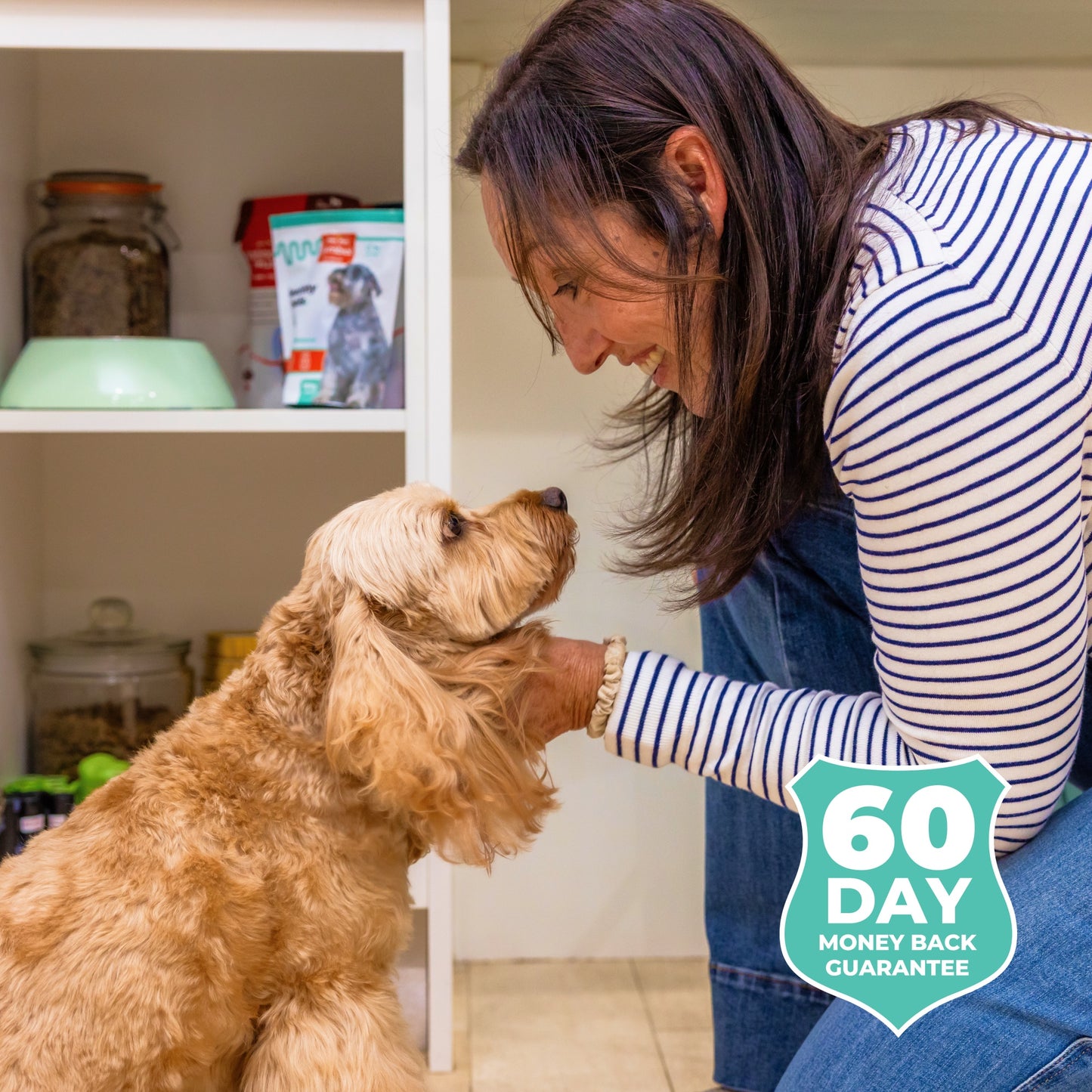 Symbiol Daily Gut Balance Dog Prebiotic & Probiotic Powder