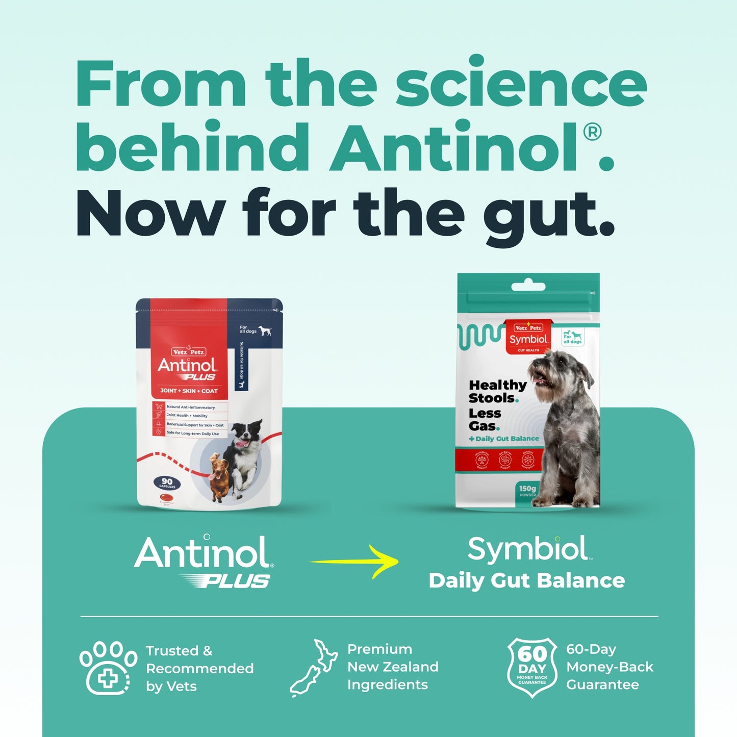 Symbiol Daily Gut Balance Dog Prebiotic & Probiotic Powder