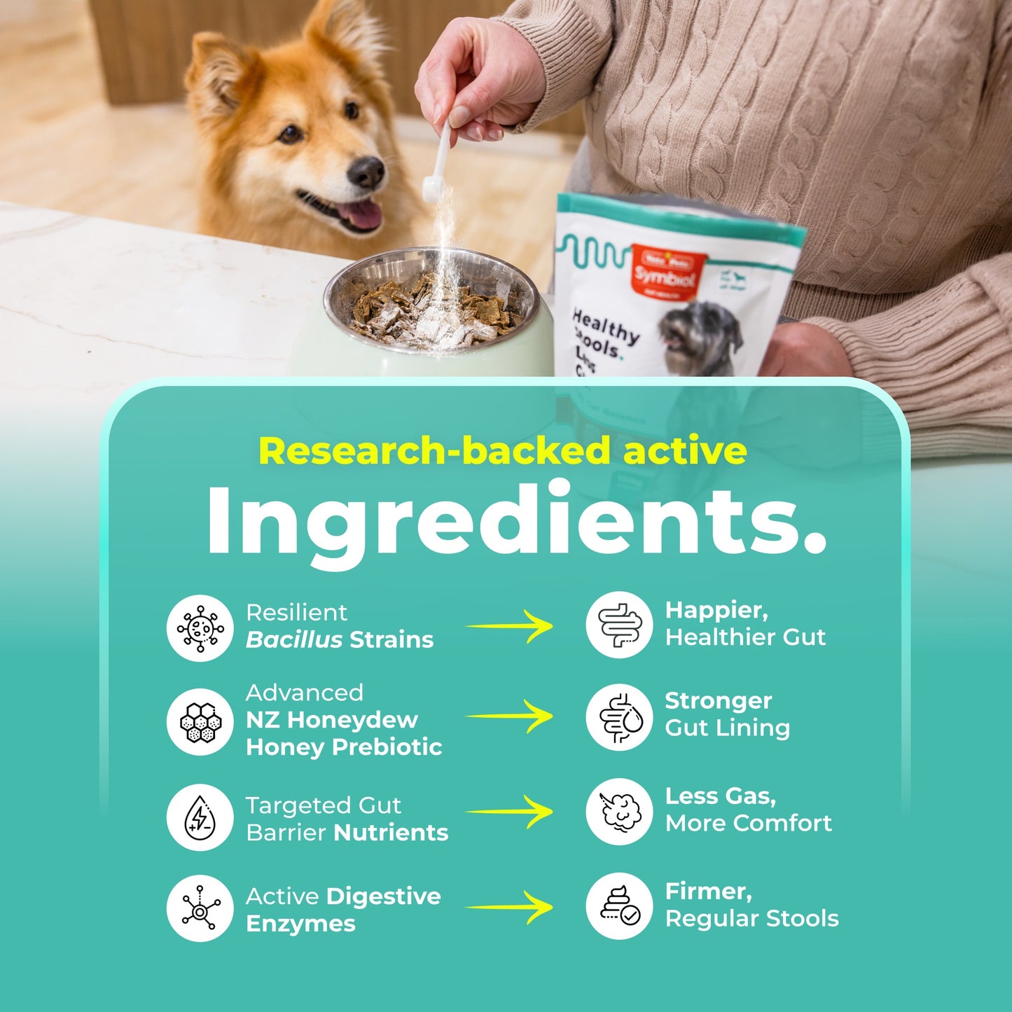 Symbiol Daily Gut Balance Dog Prebiotic & Probiotic Powder
