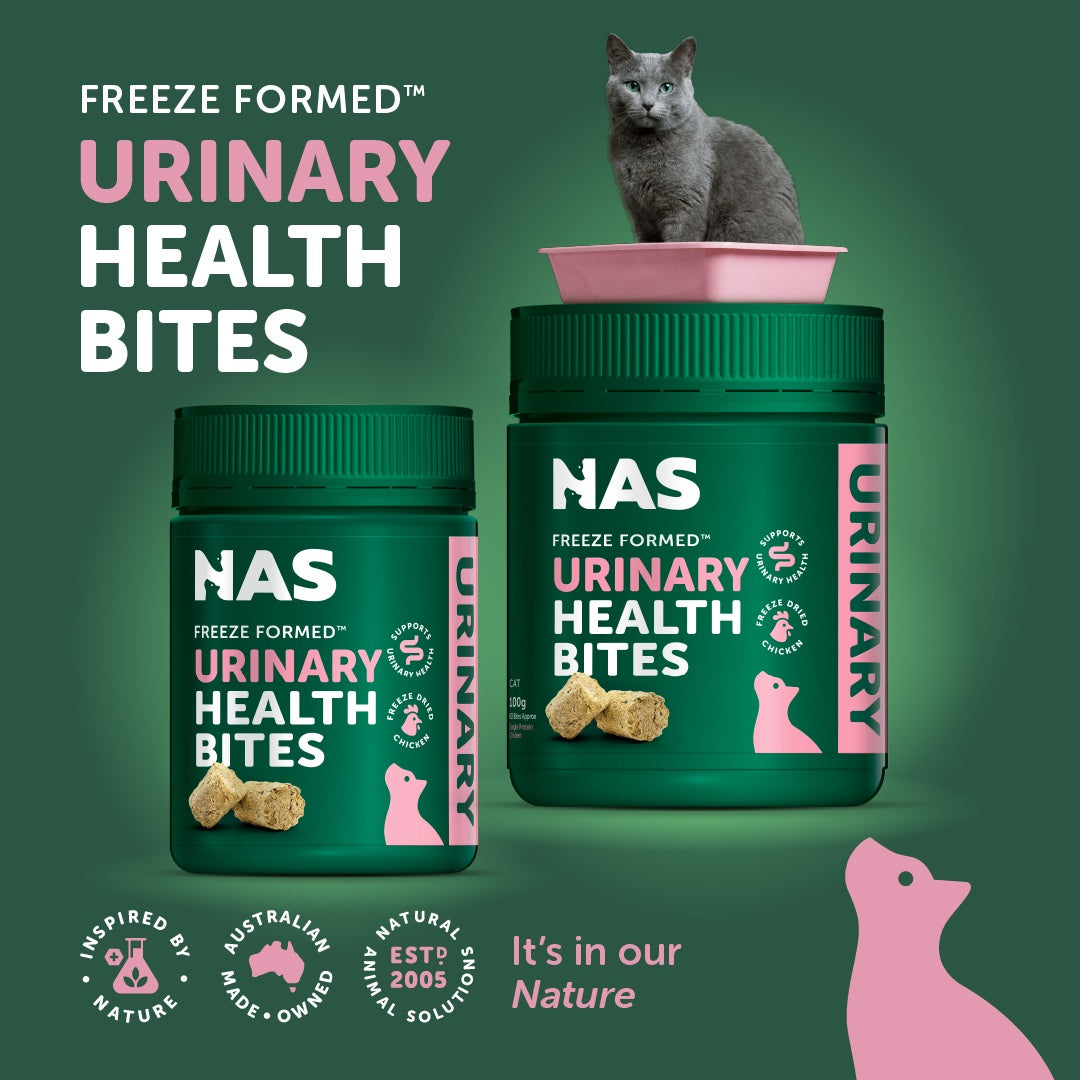 NAS Freeze Formed Urinary Health Bites for Cats
