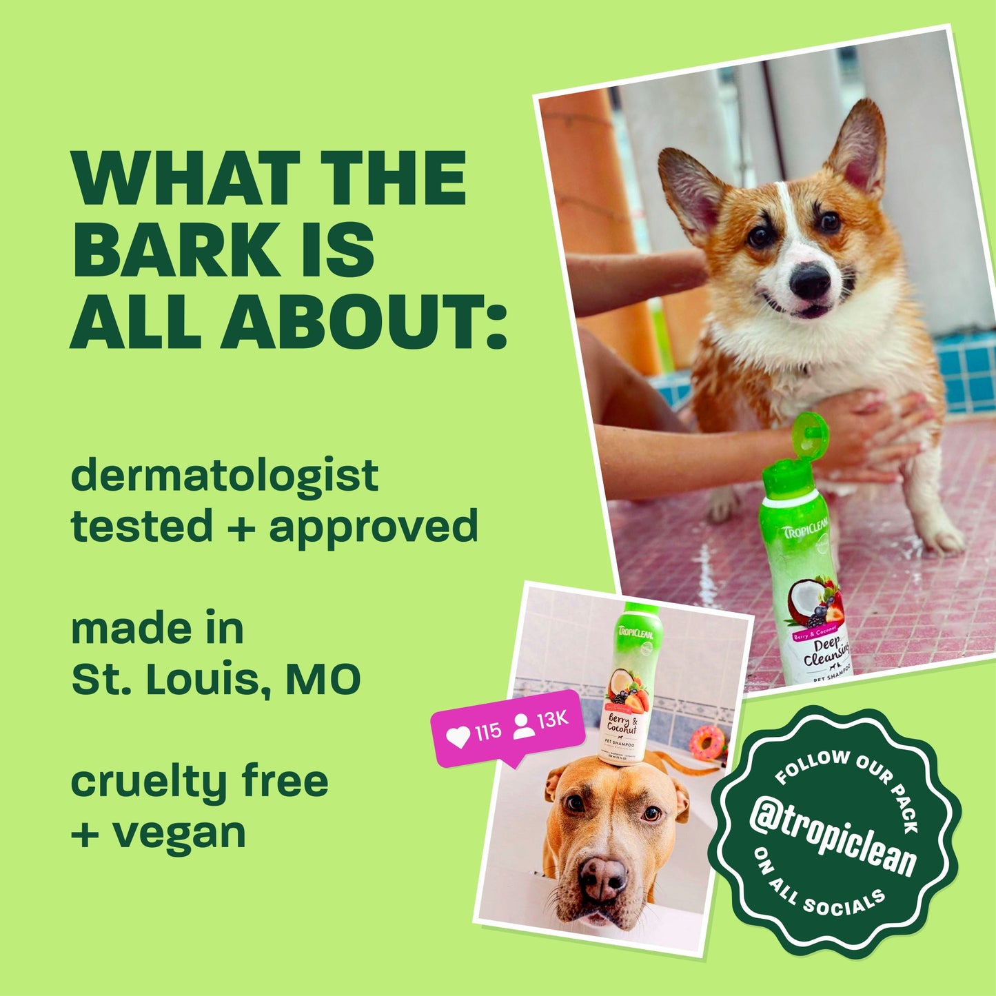 TropiClean Berry Coconut Dog & Cat Deodorizing Spray