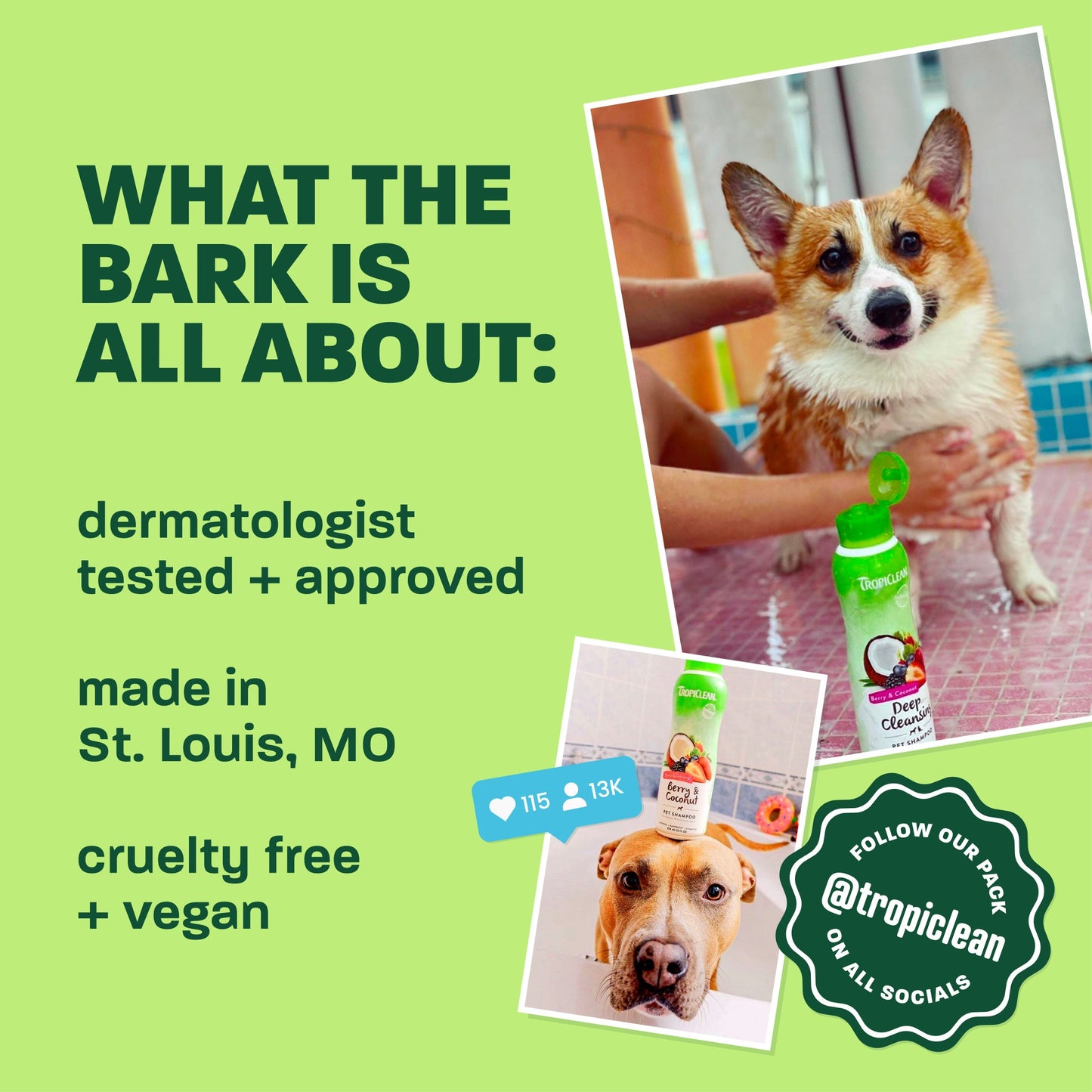 TropiClean HypoAllergenic Dog & Cat Wipes