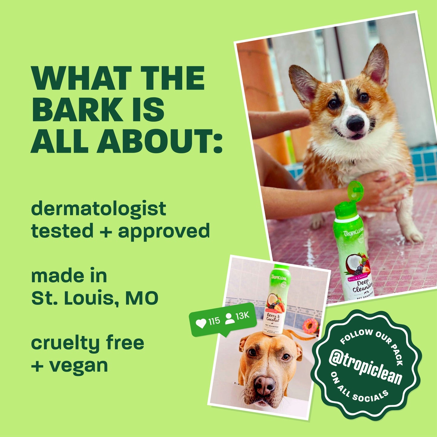 TropiClean Lime Coconut Shed Control Dog & Cat Shampoo