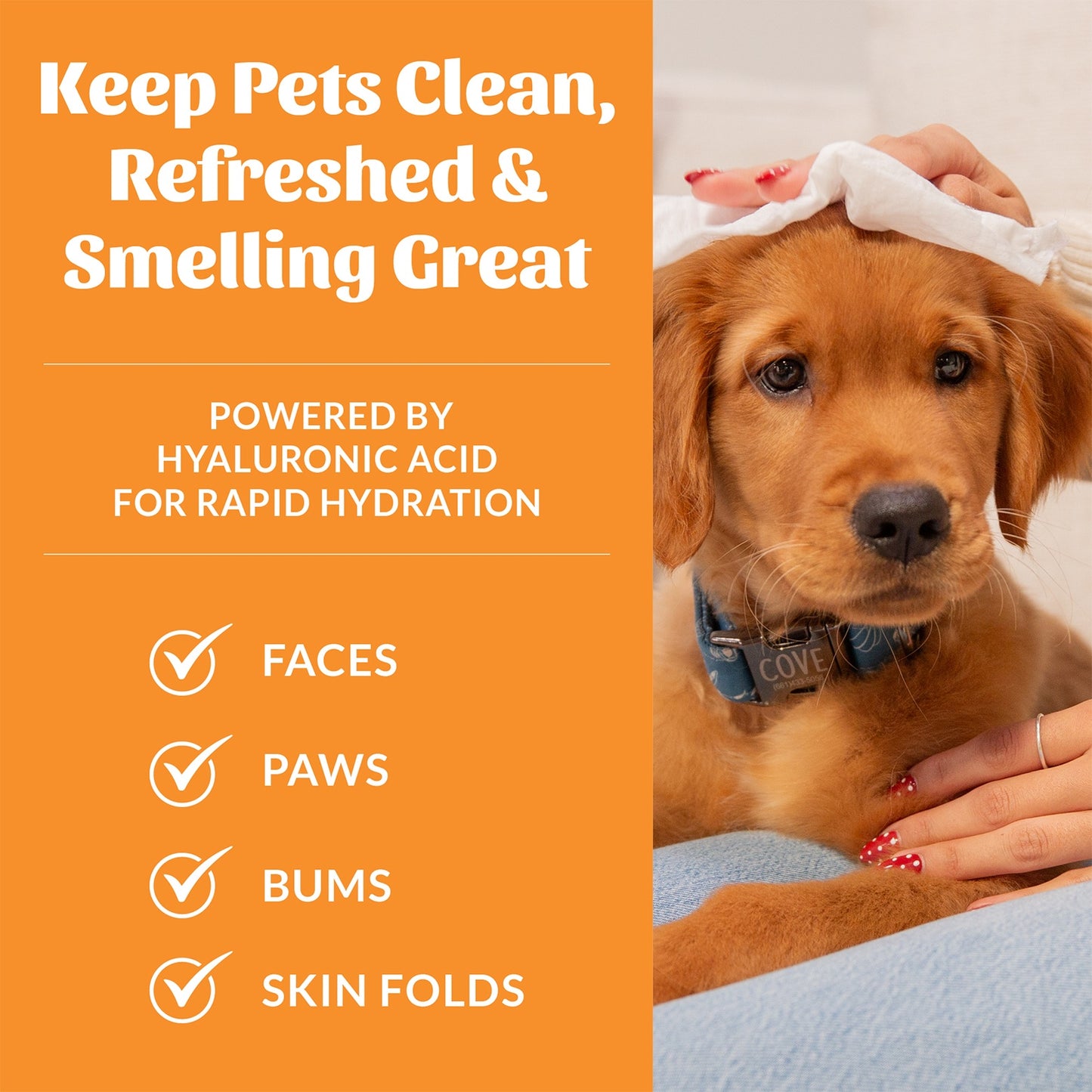 Skouts Honor HydroClear Dog & Cat Honeysuckle Grooming Wipes