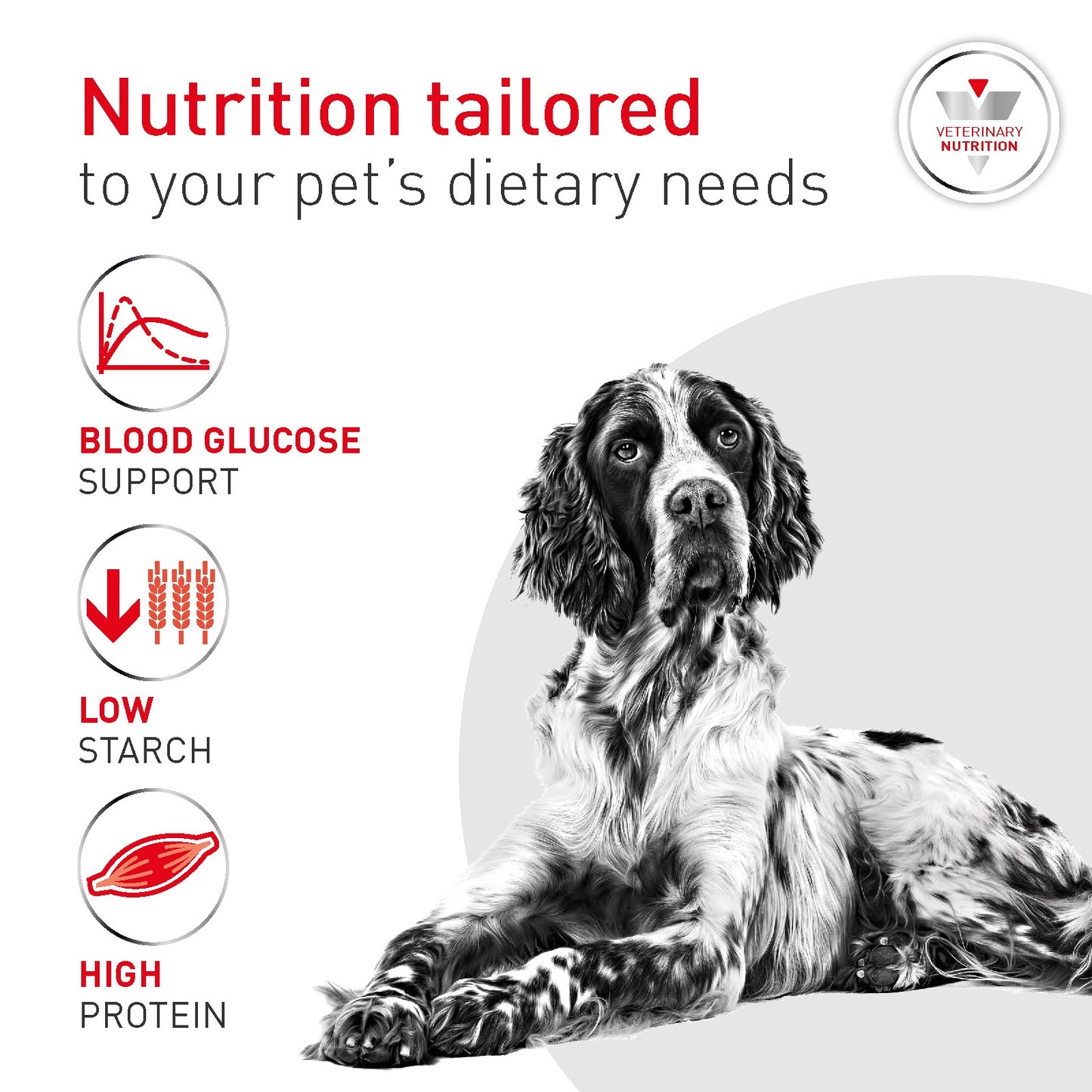Royal Canin Veterinary Glycobalance Dry Dog Food