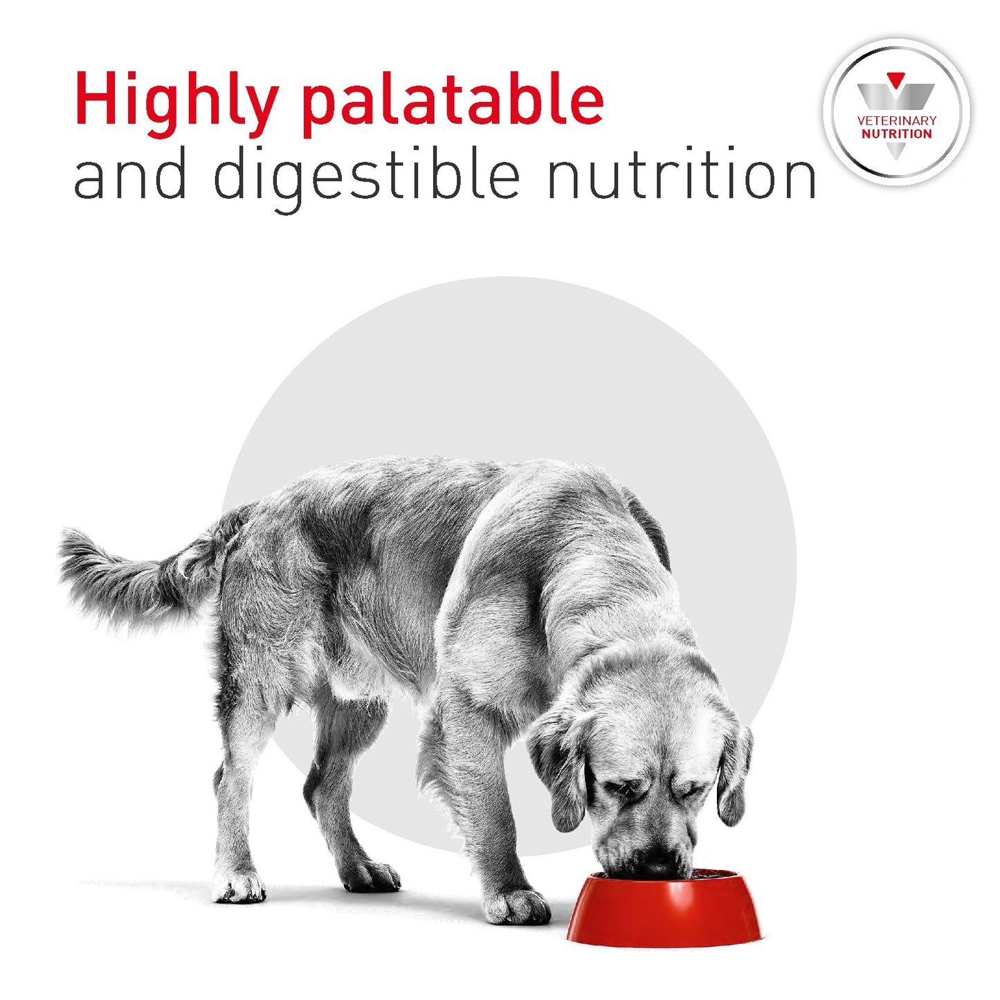Royal Canin Veterinary Glycobalance Dry Dog Food