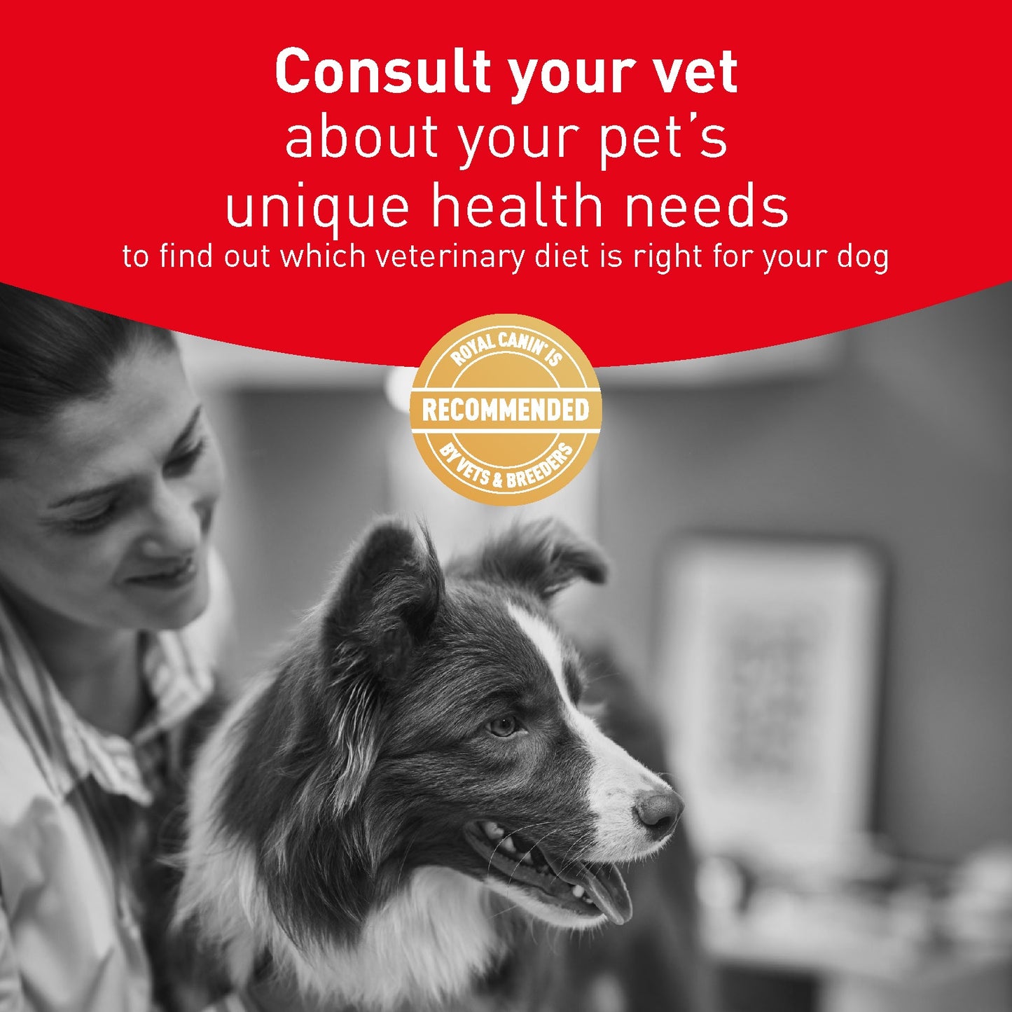 Royal Canin Veterinary Glycobalance Wet Dog Food