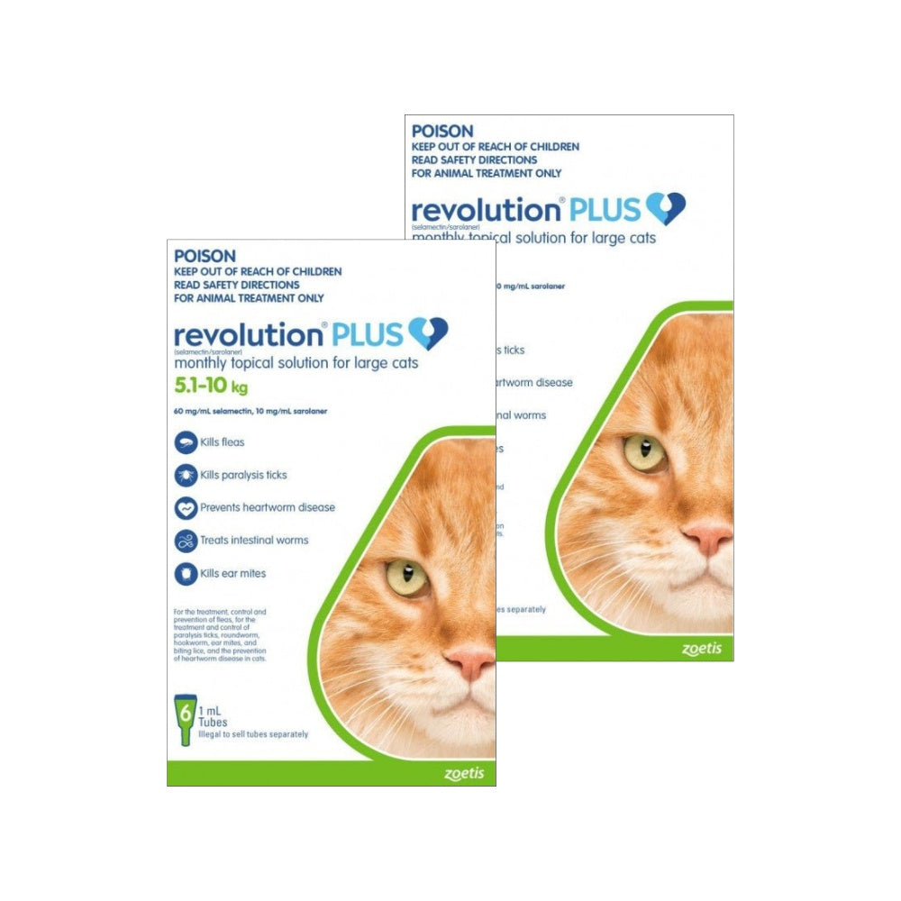 Revolution Plus Flea & Tick Treatment 5-10kg Cat Spot On