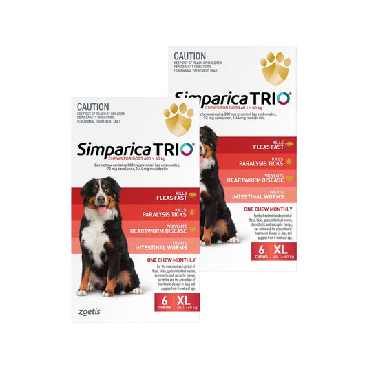 Simparica Trio Extra Large Breed 40.1-60kg Flea, Tick & Worm Dog Chews