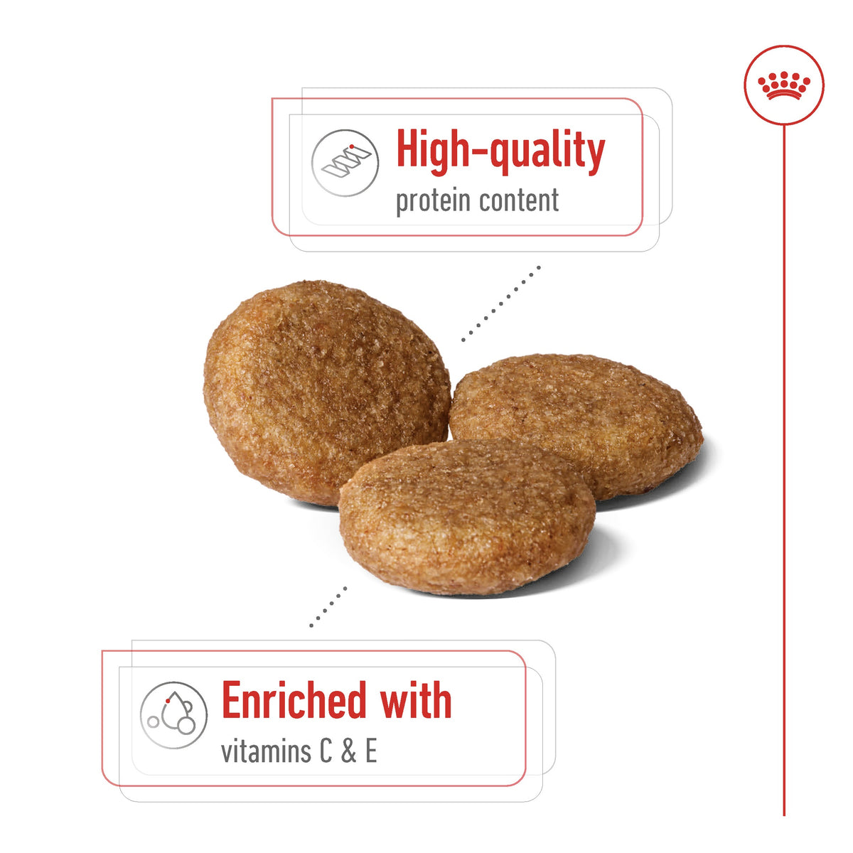 Royal Canin Medium Breed Adult Dry Dog Food