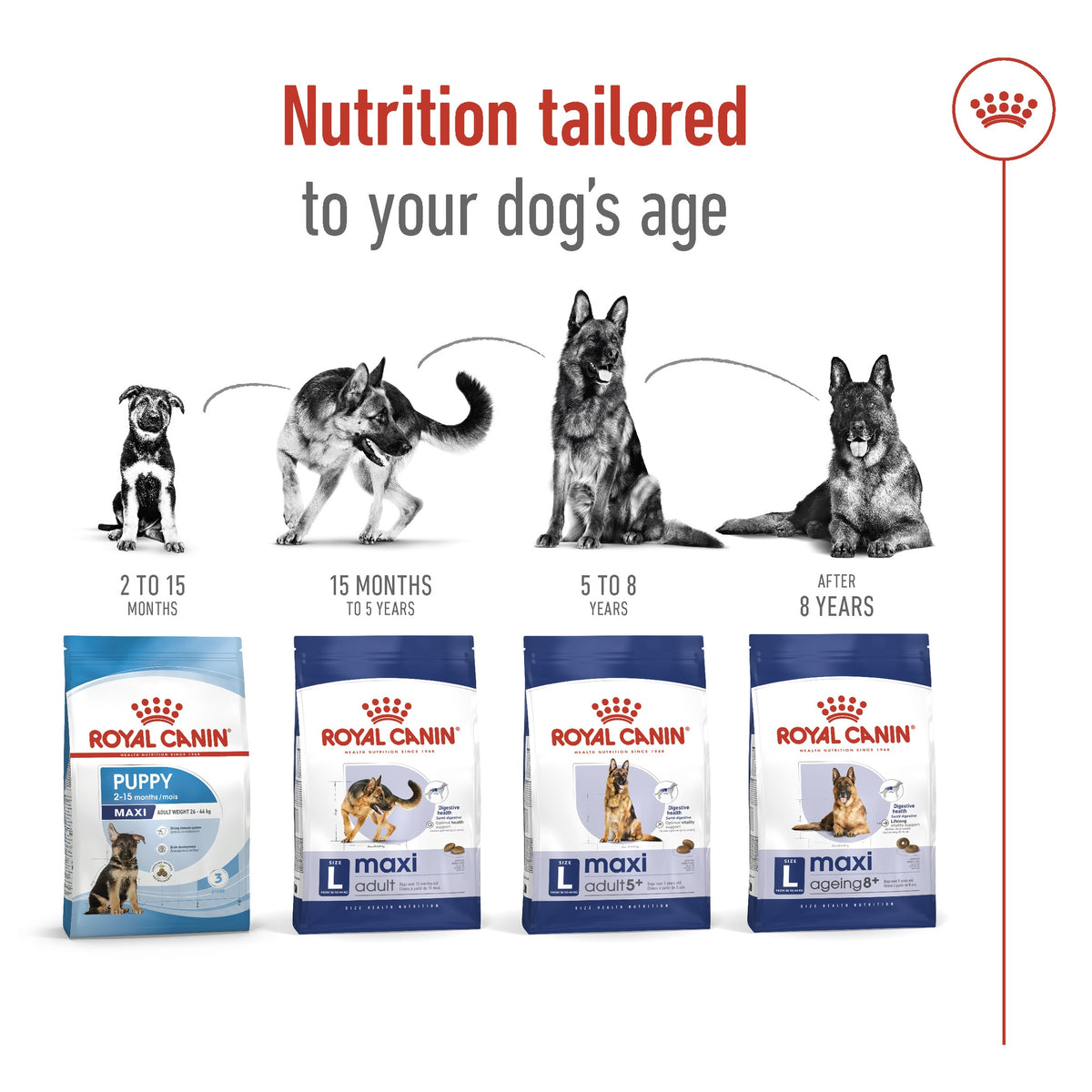 Royal Canin Maxi Large Breed Adult Dry Dog Food