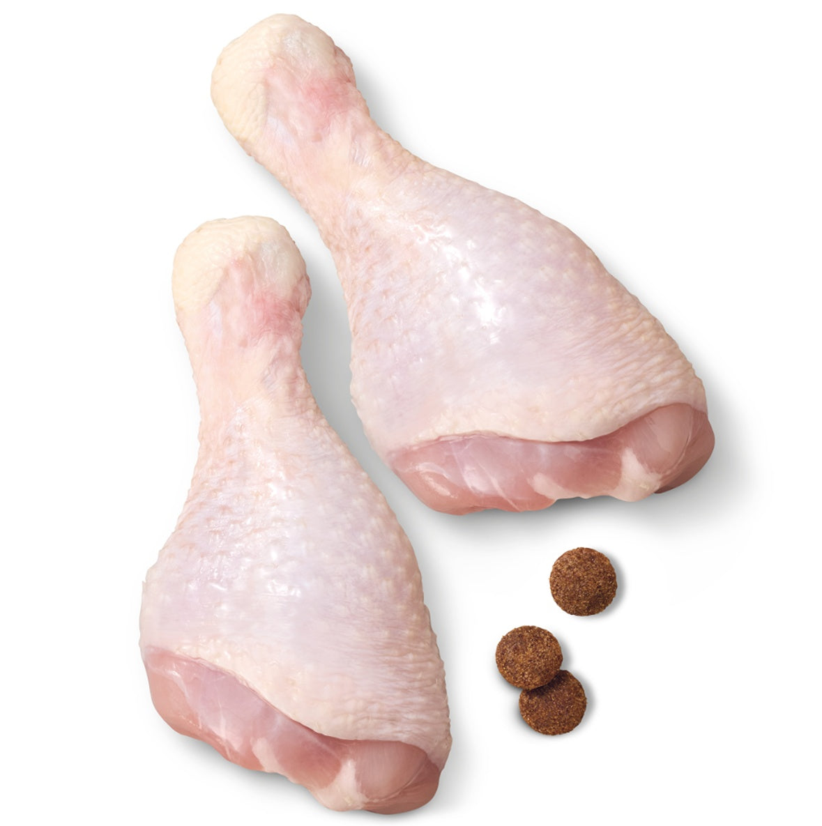 Advance Adult High Protein Chicken Dry Dog Food