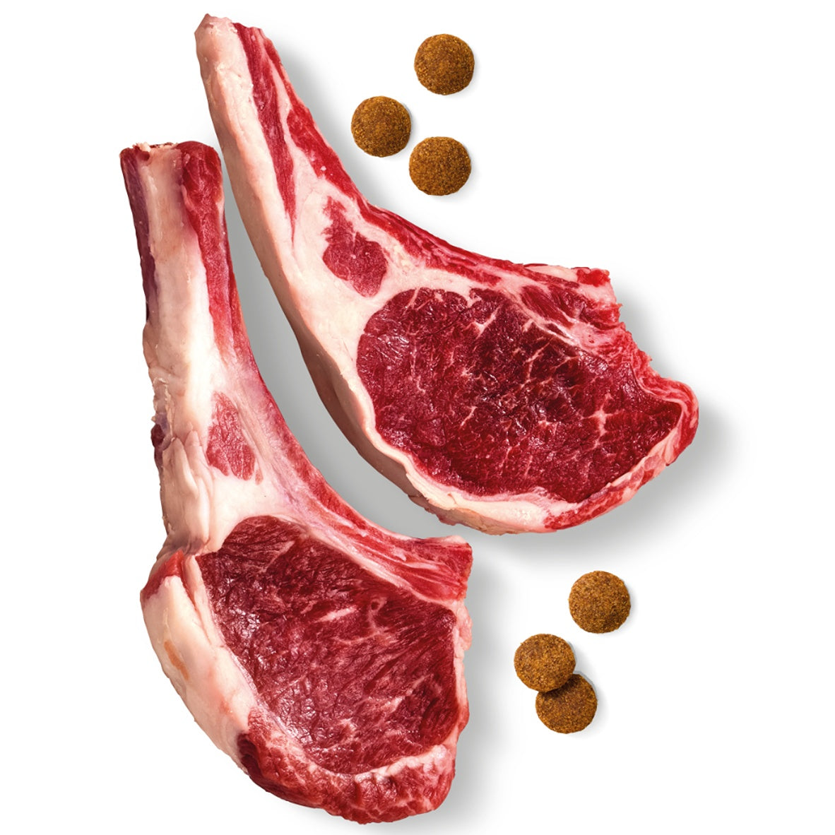Advance Adult High Protein Lamb Dry Dog Food