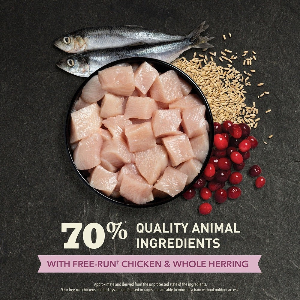 Acana Kitten First Feast + Chicken & Salmon Cat Food Bundle