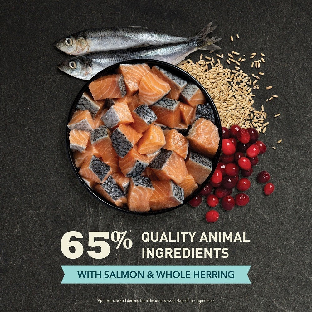 Acana Adult Bountiful Catch + Beef & Tuna Cat Food Bundle