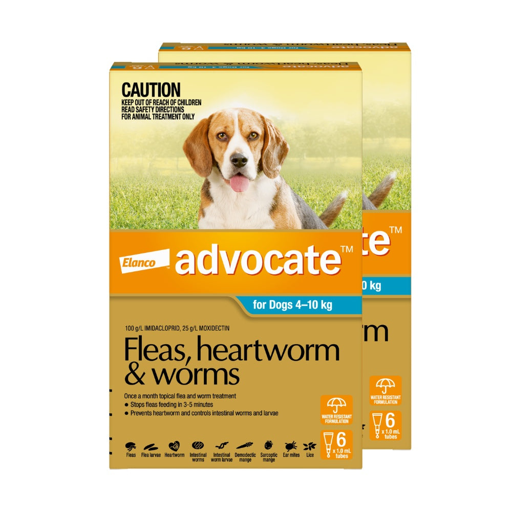 Advocate Medium Breed 4-10kg Flea & Worming Spot-On Dog Treatment