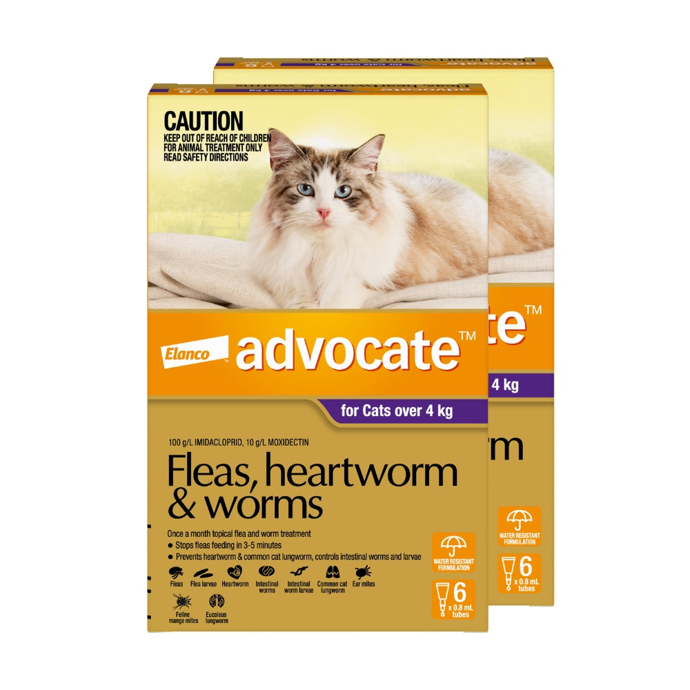 Advocate Spot-On Flea & Worm Treatment >4kg Cat
