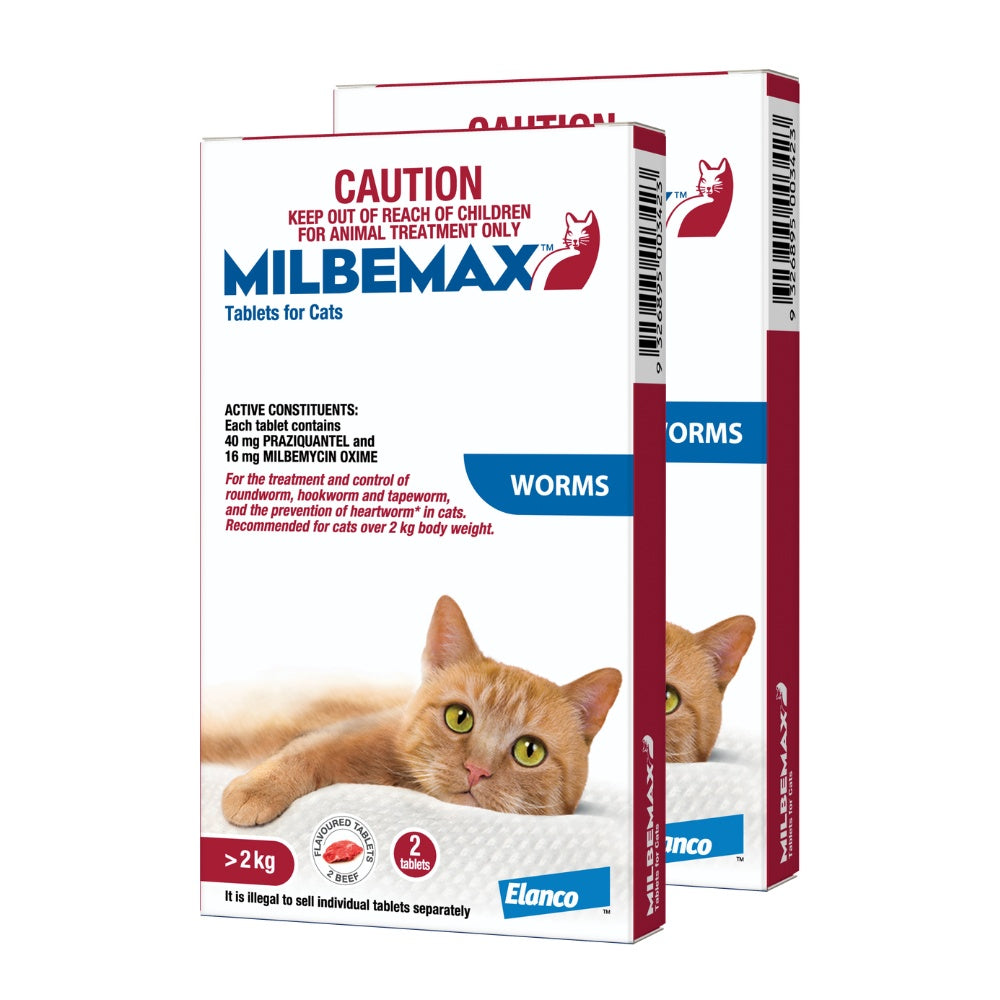 Milbemax Allwormer >2kg Cat